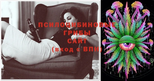 PSILOCYBIN Вязники