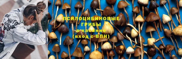PSILOCYBIN Вязники