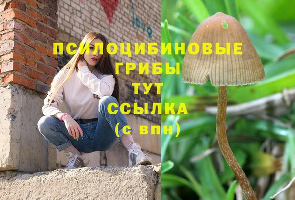 экстази Вяземский