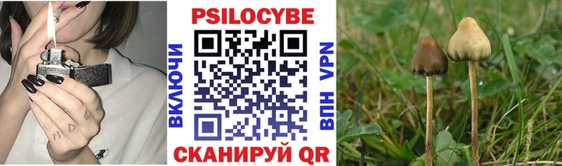 Галлюциногенные грибы Cubensis  что такое наркотик  МЕГА рабочий сайт  Петровск 